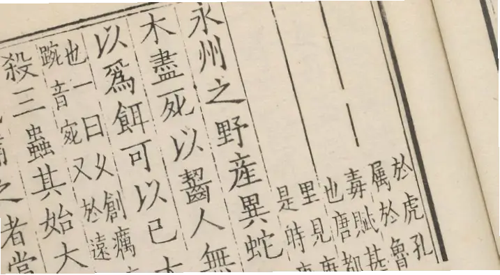 为什么中文昵称更注重音义结合？